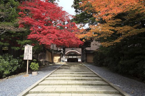 和歌山県 高野山　金剛峯寺山門 紅葉 秋 御開帳 金堂 御本尊特別開帳