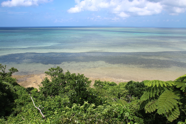 西表島 幻 海 ウミガメ 観光 ジャングル 天然記念物 魅力