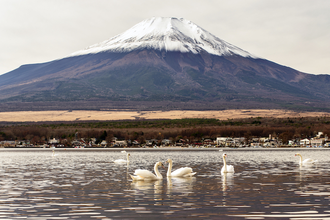 今やるの!?山中湖の伝統、ひと月遅れのひなまつりで春の富士山を体感