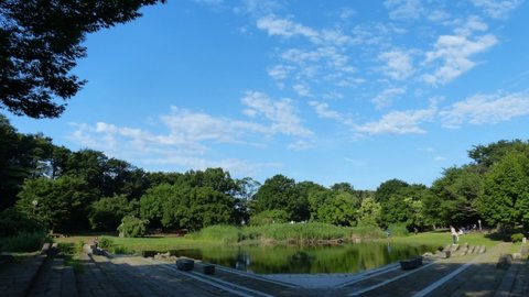 東京でホタルを見よう。清瀬市「金山緑地公園」25年の挑戦