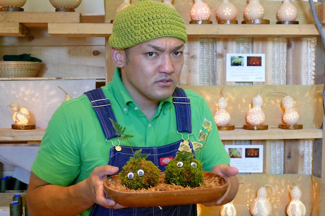 ❣️苔アート❣️流木の森❣️BIGグラスボールG EＸ❣️完成品❣️送料込み❣️ 元プロレスラーの「コケ玉」教室が人気。青森・奥入瀬モスボール工房