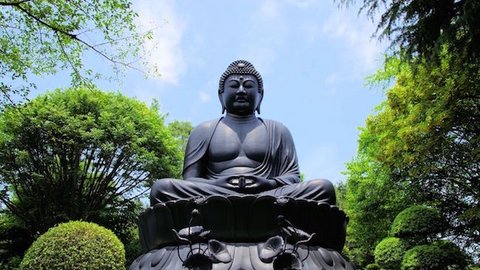 日本で三番目に大きい大仏が「東京都」にあると聞いて調べてきた
