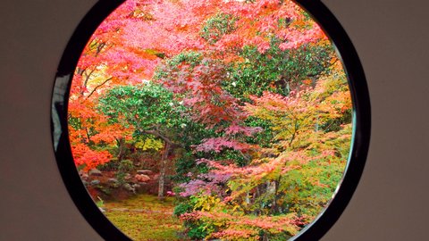 古都が紅に染まるとき。写真家がこっそり訪れる、京都の紅葉名所の穴場