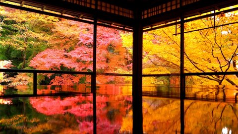 鏡張りのような美しい紅葉も。京都を美しく撮れる紅葉エリア10選