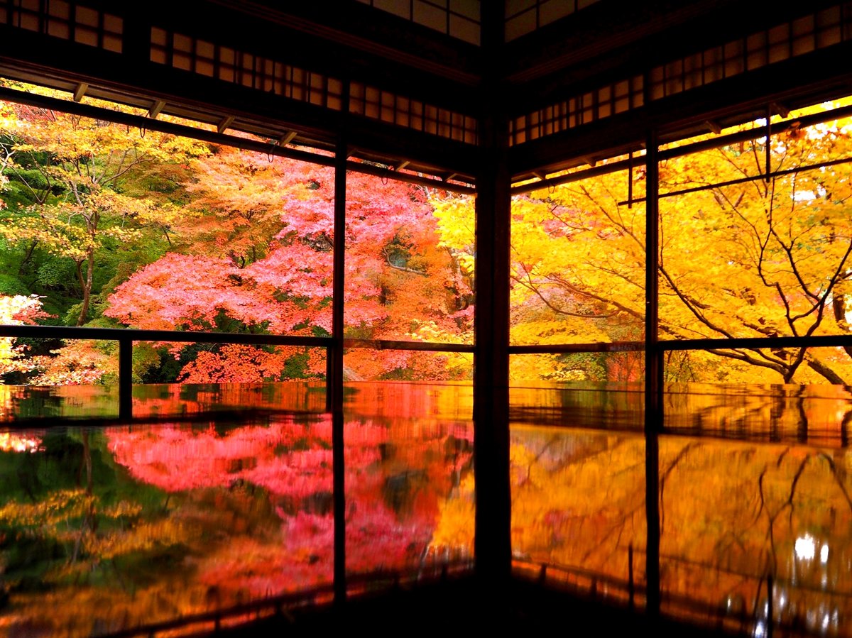 鏡張りのような美しい紅葉も。京都を美しく撮れる紅葉エリア10選 - TRiP EDiTOR