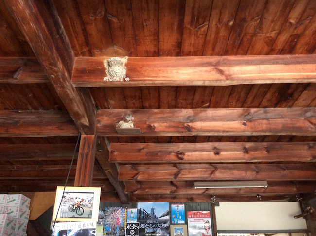 天井にツバメが巣を作っている