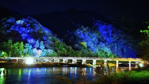 【オトナの京都】闇夜に浮かぶ嵐山花灯路が美しい