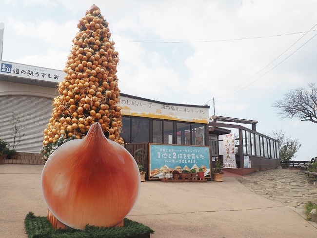 クリスマスには、同社が営む「道の駅うずしお」に、およそ1000個の玉ねぎを使ったクリスマスツリーが飾られる