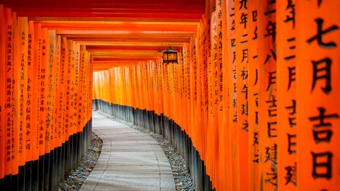 伏見稲荷「千本鳥居」を抜けると…。知られざる京都のパワースポット
