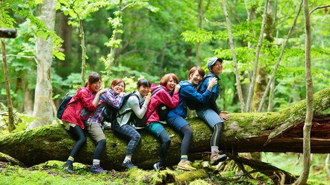 海外でも反響、日本発祥の「森林浴」を楽しむ外国人観光客が増えるワケ