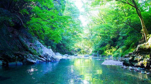 30秒ですぐ絶景。埼玉の秘境「三波渓谷」で出会った神秘的な景色