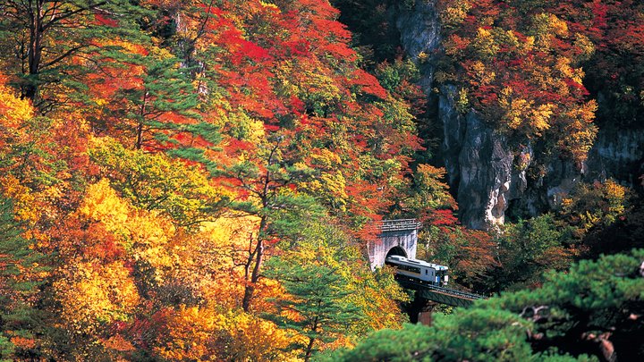 やっと絶景を見られるのか…！今年こそ訪れたい日本全国「紅葉スポット
