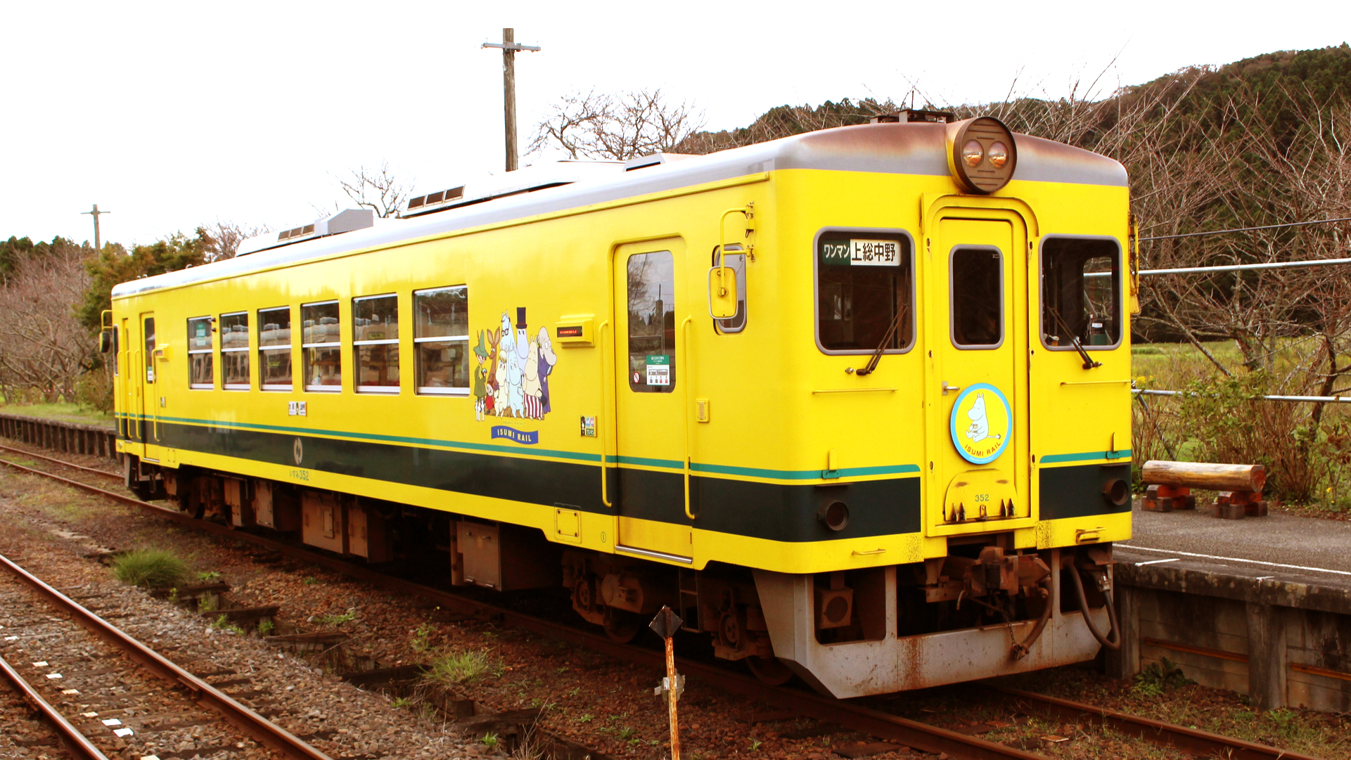 15kmの菜の花畑を車窓から 景色もグルメも楽しめるローカル列車 いすみ鉄道 Trip Editor