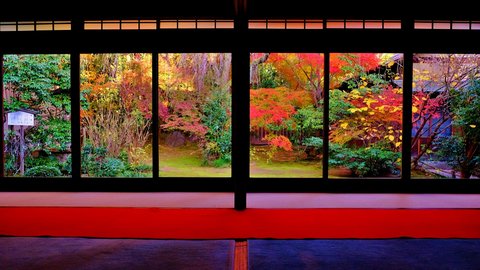 京都の秋はこれから。着物で巡る、美しい四季と歴史に触れる旅