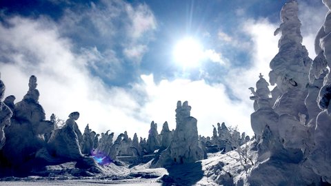 1月下旬〜3月が見ごろ。冬だけの絶景、山形・蔵王の美しき樹氷