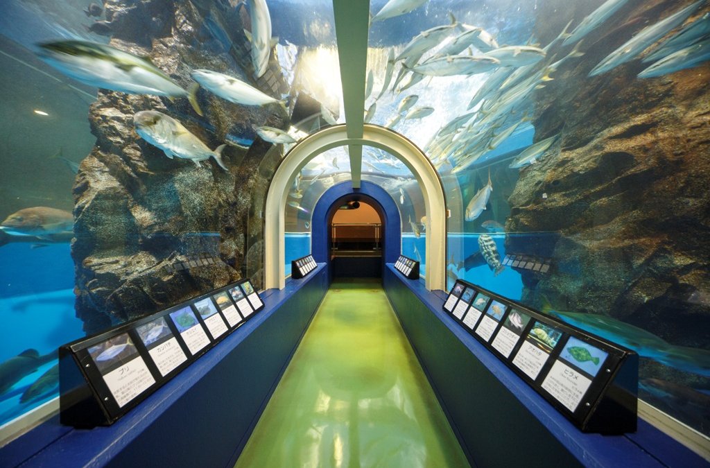日本最古の水族館。100年以上の歴史を誇る、富山「魚津水族館