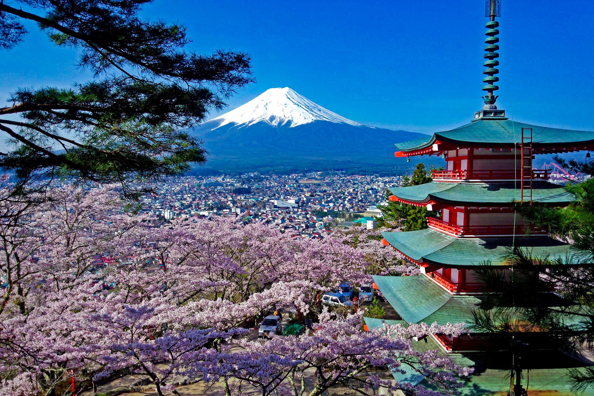 日本の春は美しい 山梨 静岡の 富士山と桜コラボ 5選 Trip Editor