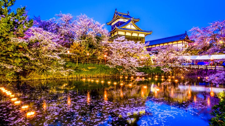 shutterstock_693822760-720x405.jpg