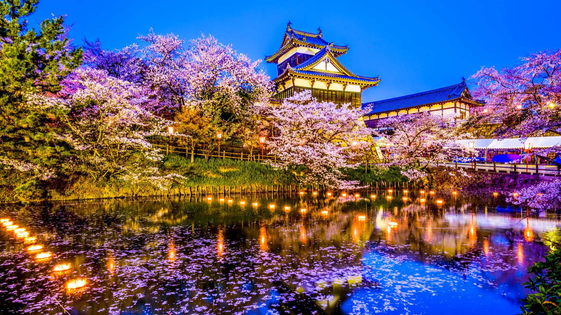 日本中の名城を求めて ツウなら知ってる 城旅 の味わい方 Trip Editor