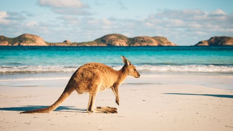 観光地や物価まで。知っておきたい基本の「オーストラリア」旅行情報