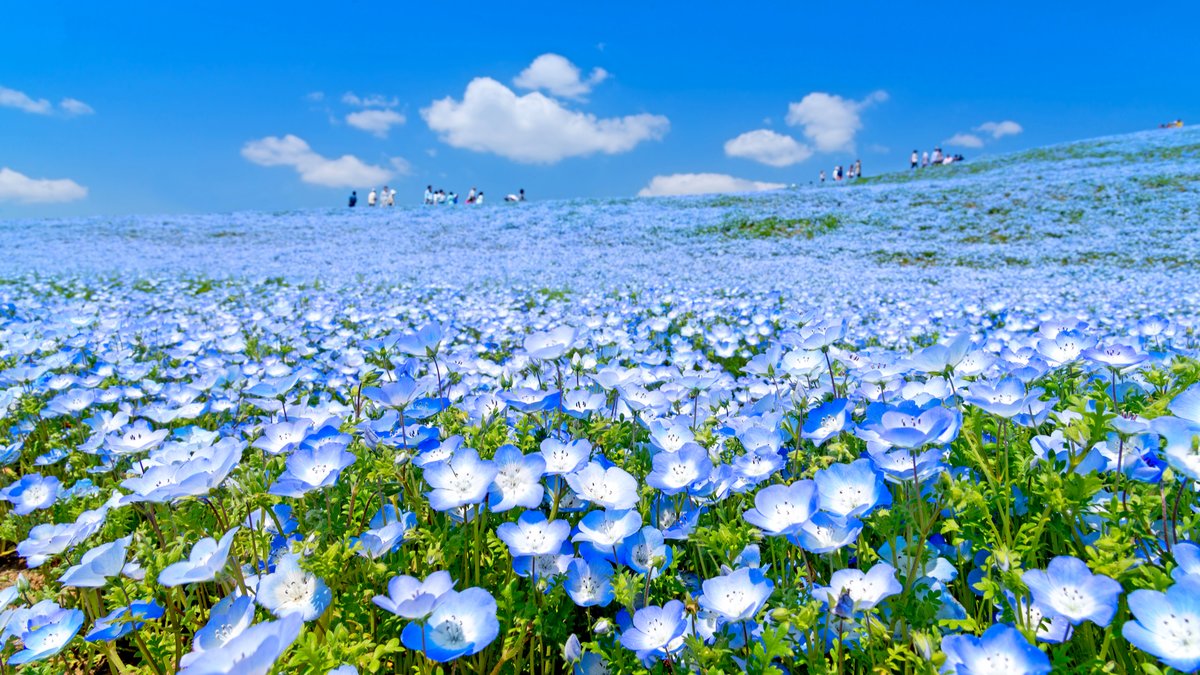 shutterstock_392216470-