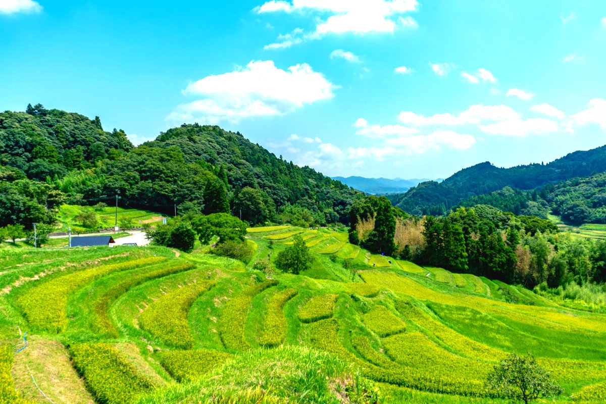心の原風景を探す癒し旅 日本国内の絶景 棚田 10選 Trip Editor