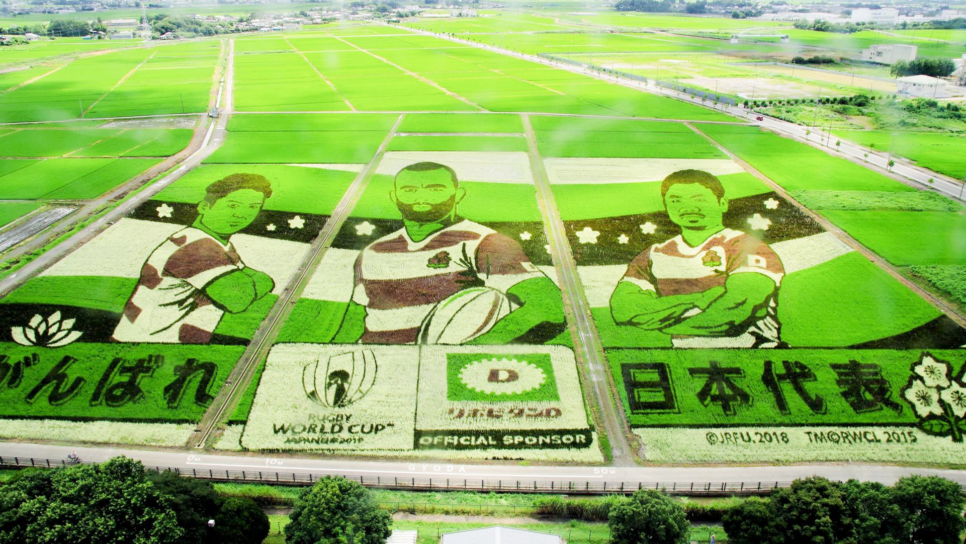 ナスカの地上絵超え 世界最大の 田んぼアート は埼玉にあった Trip Editor