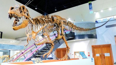 実は日本初。山間に見つけた恐竜の町、群馬県「神流町恐竜センター」