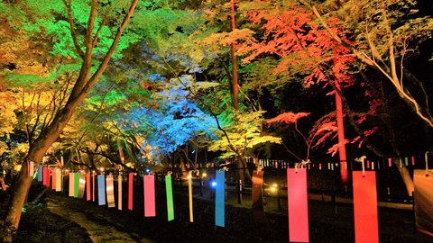 京の七夕2019 〜古都の夏を彩るライトアップへ出かけよう