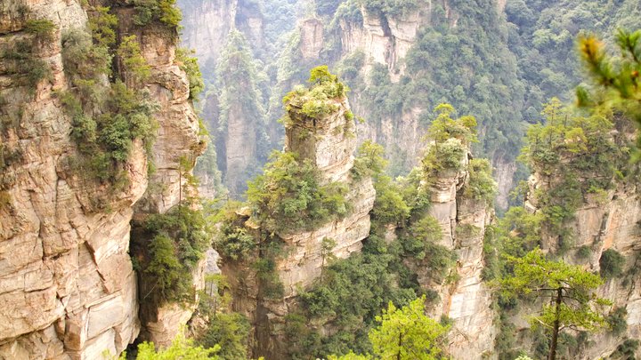 リアル「アバター」の世界へようこそ！中国「武陵源」の奇形世界を