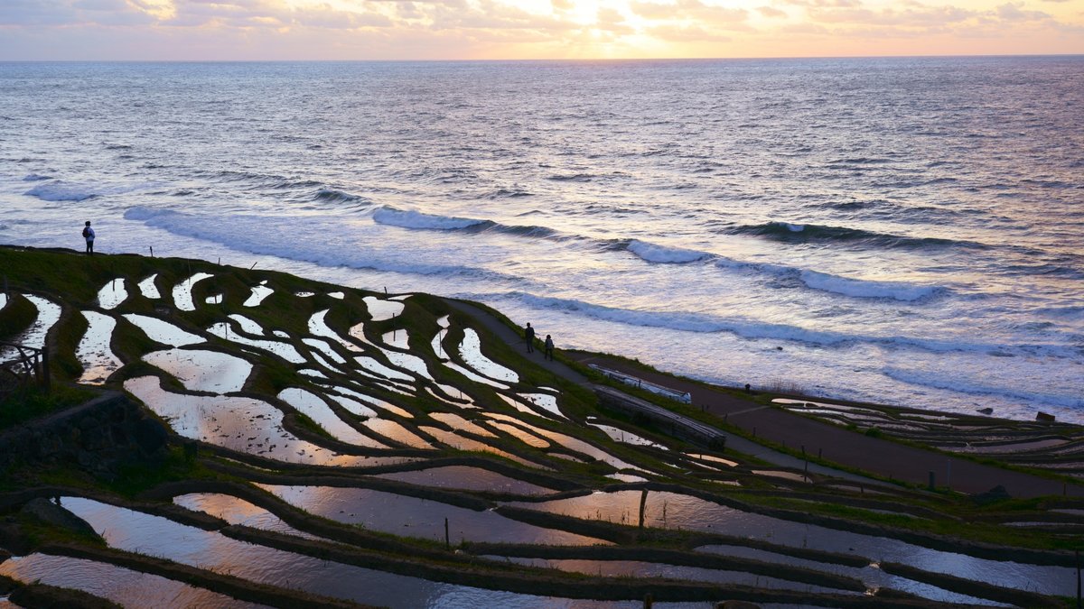 古き良き日本の絶景。海を背景に棚田が広がる「白米千枚田」への旅