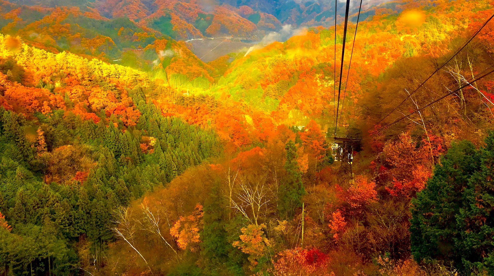 哀愁の色づき 美しい紅葉を楽しめる関東近郊の ロープウェイ 9選 Trip Editor