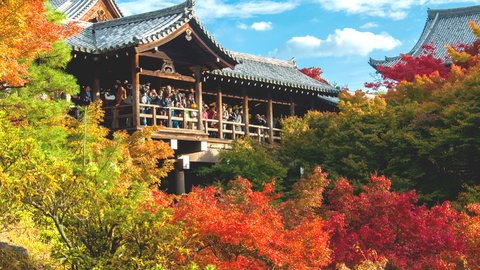 美しき紅葉を歴史と楽しむ。この秋行きたい「寺院」ランキング