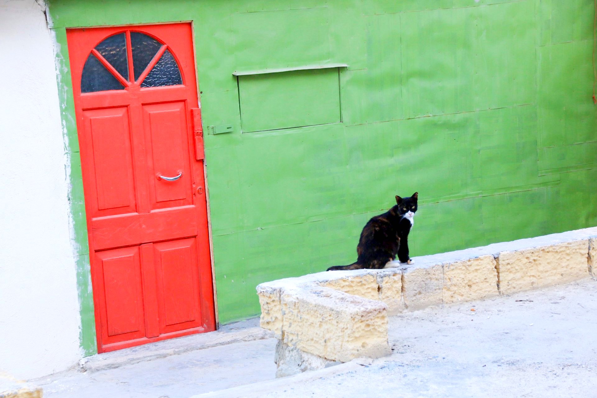 楽園 かもしれないニャン 猫好きの聖地 地中海 マルタ島 をゆく Trip Editor