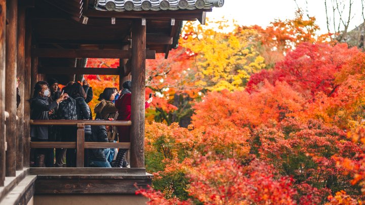 京都 東福寺の紅葉 Autumn leaves at Tofukuji in Kyoto: 街並み