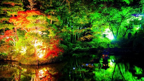 妖艶な光の演出。地元民も愛する、埼玉県秩父の穴場「紅葉」ライトアップ