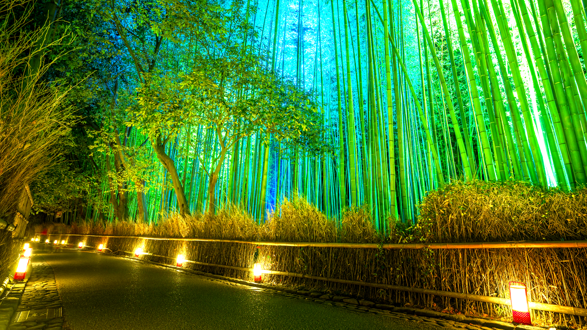 灯が映し出す夜の顔 京都 嵐山花灯路の 和イルミネーション Trip Editor