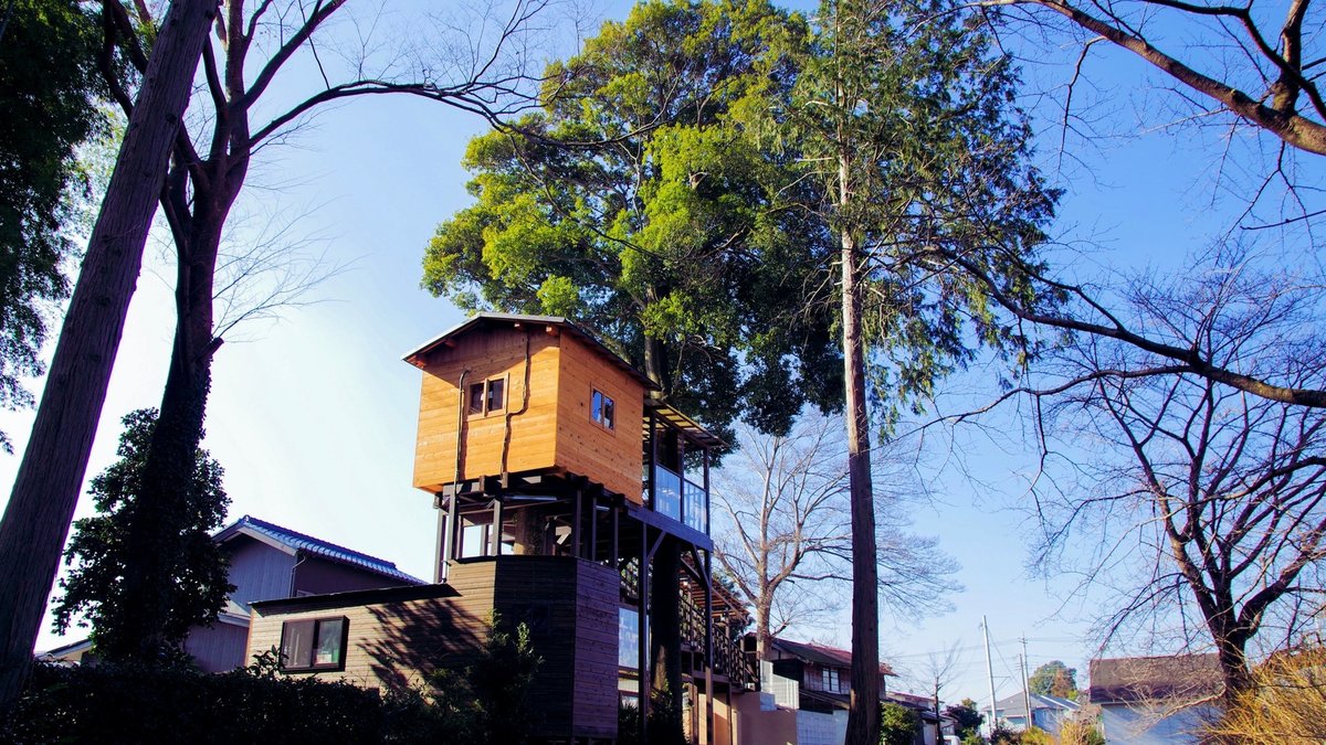 もしかして日本最大級 憧れのツリーハウスカフェ 埼玉 所沢 Nicorico