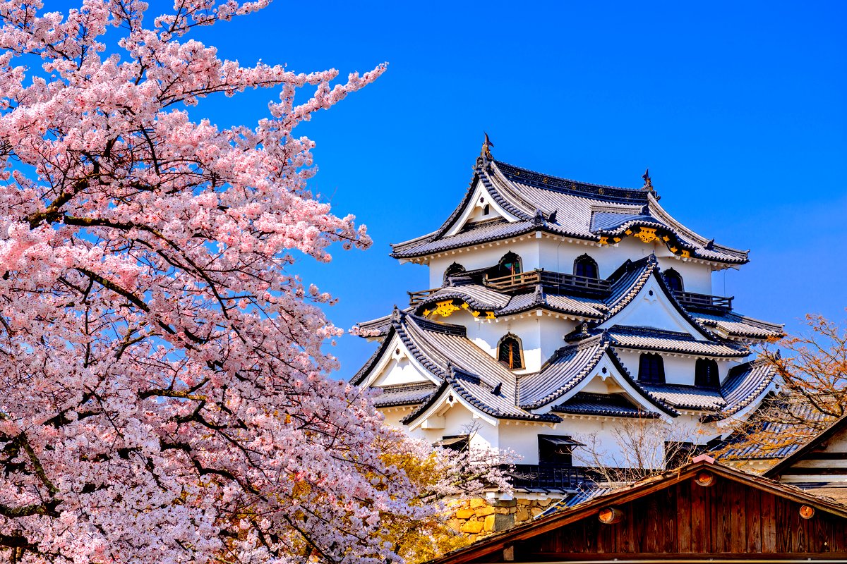 名城と楽しむ春の風物詩 天守と桜のコラボが美しい全国のお城8選 ページ 2 2 Trip Editor