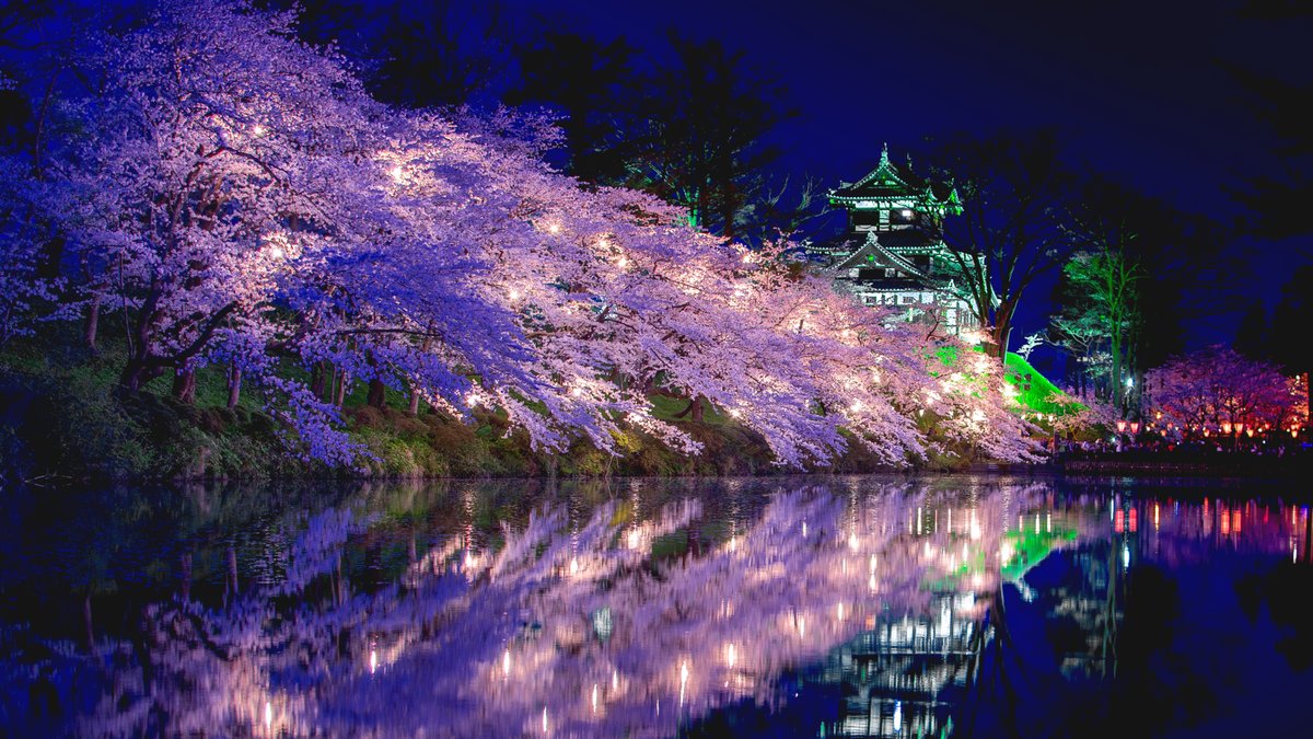 春の夜を美しく彩る。日本三大夜桜のひとつ新潟県「高田公園」の魅力