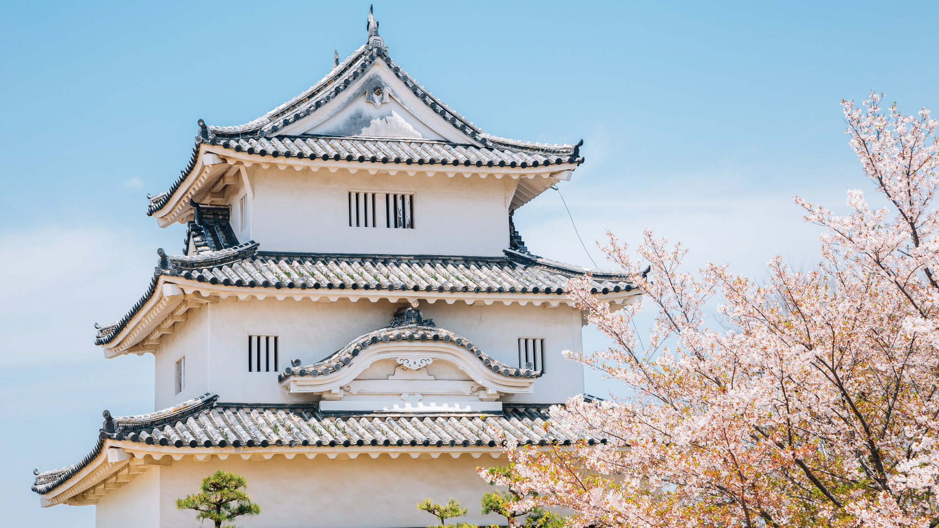 定番から穴場まで 桜色に染まる香川県の お花見 スポット8選