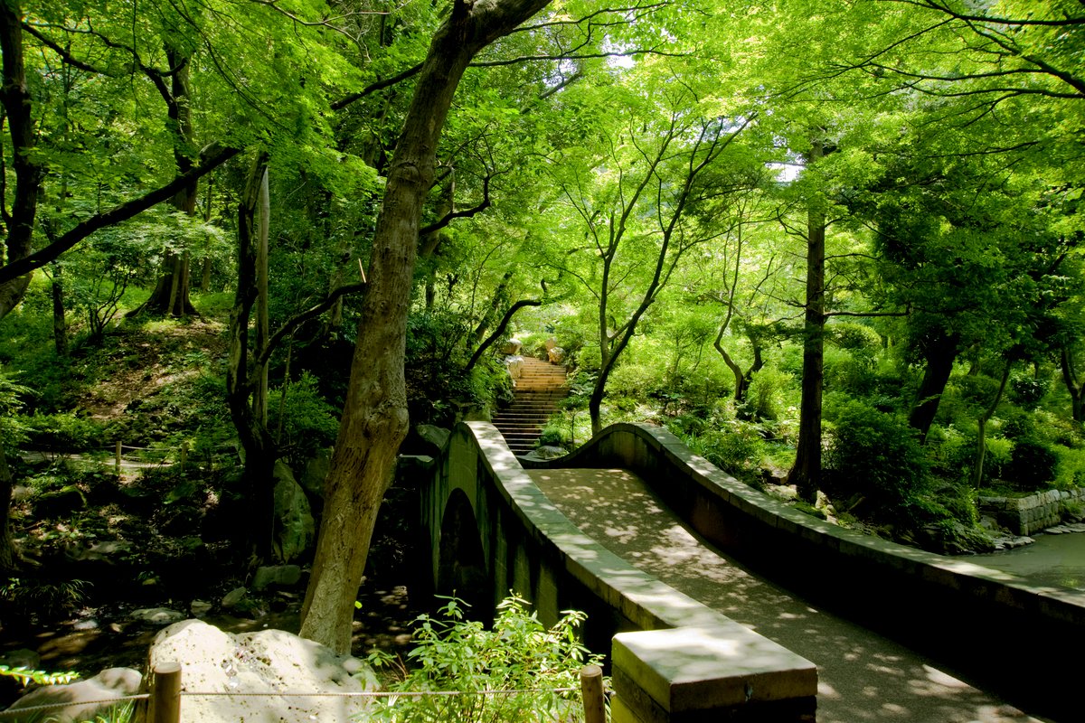 東京の新緑に癒される 自然豊かな都内の 森林浴スポット 7選 ページ 2 2 Trip Editor