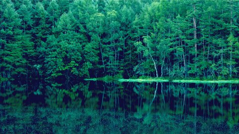 反射する水鏡の美しさ。つい見とれてしまう幻想的な「日本の湖」6選