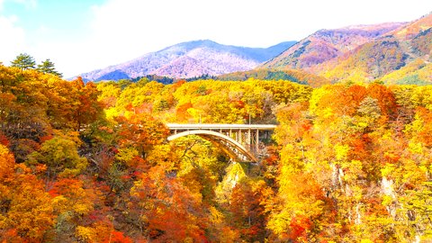東北が誇る秋の絶景。宮城県「鳴子峡」で見られる紅葉スポット