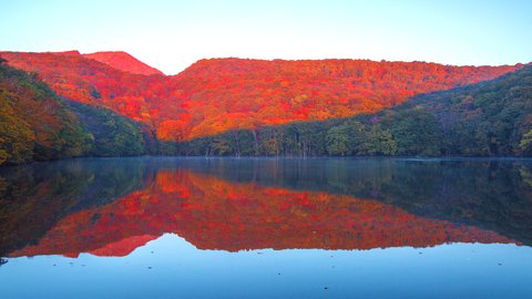 思わず息をのむ秋の絶景。水面に映し出される青森県「蔦沼」の紅葉