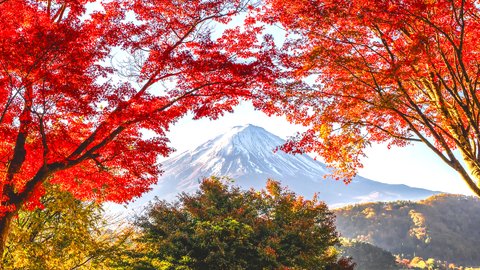 これぞ、ザ・日本。富士山と紅葉を楽しめる「もみじトンネル」の絶景