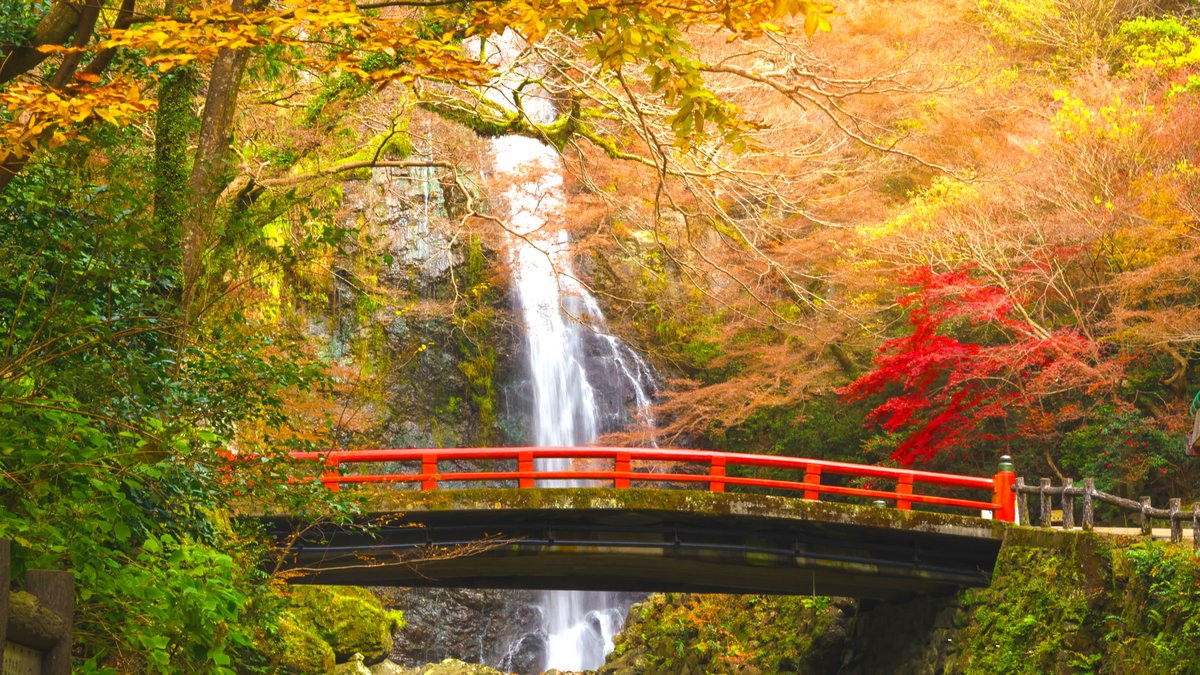 燃えるような秋景色。美しい紅葉を楽しめる絶景の大阪「箕面公園」へ