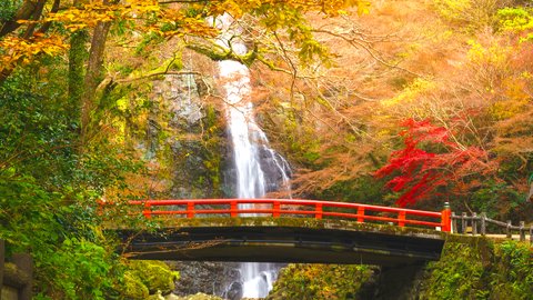 燃えるような秋景色。美しい紅葉を楽しめる絶景の大阪「箕面公園」へ