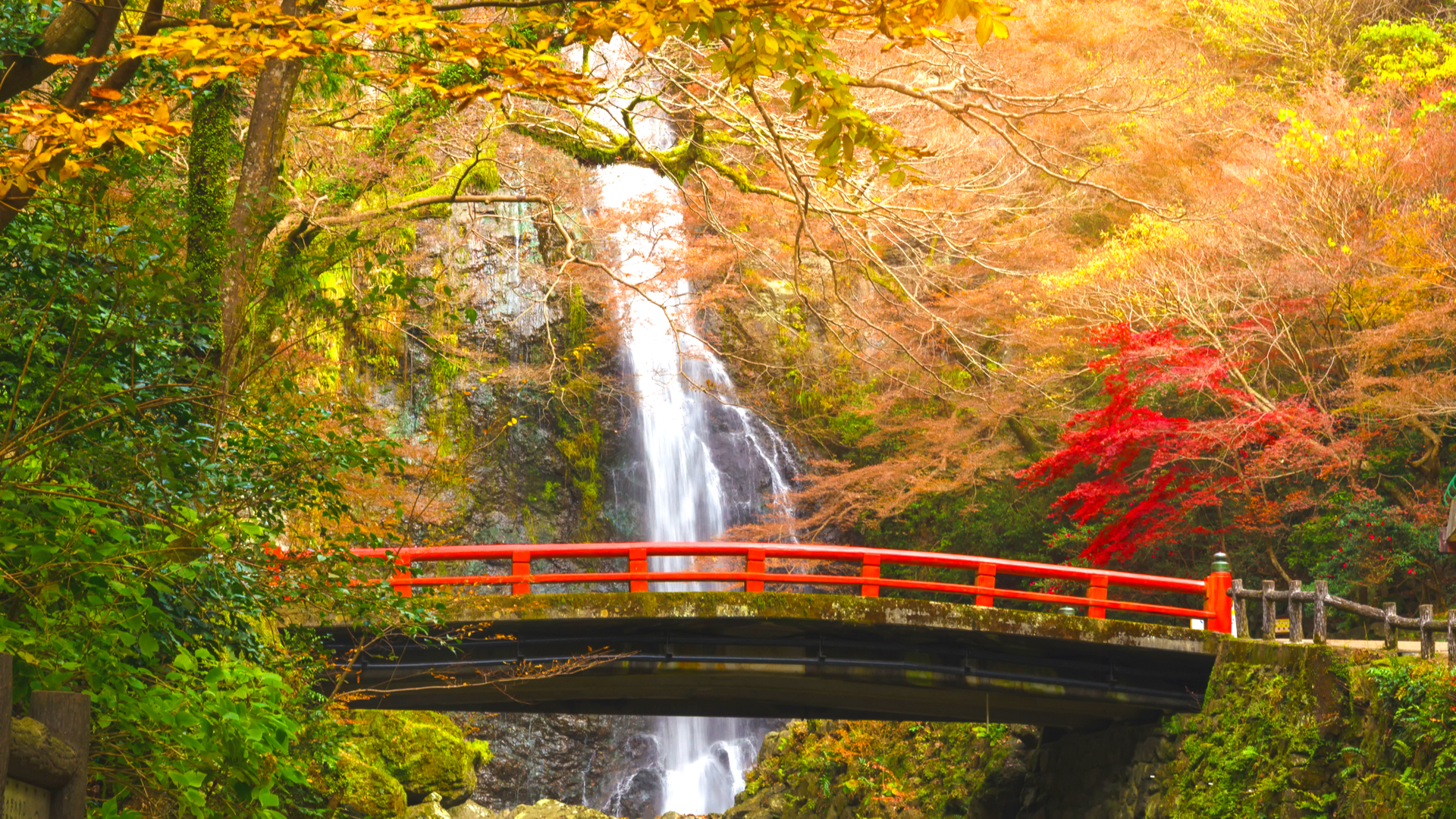 燃えるような秋景色 美しい紅葉を楽しめる絶景の大阪 箕面公園 へ Trip Editor