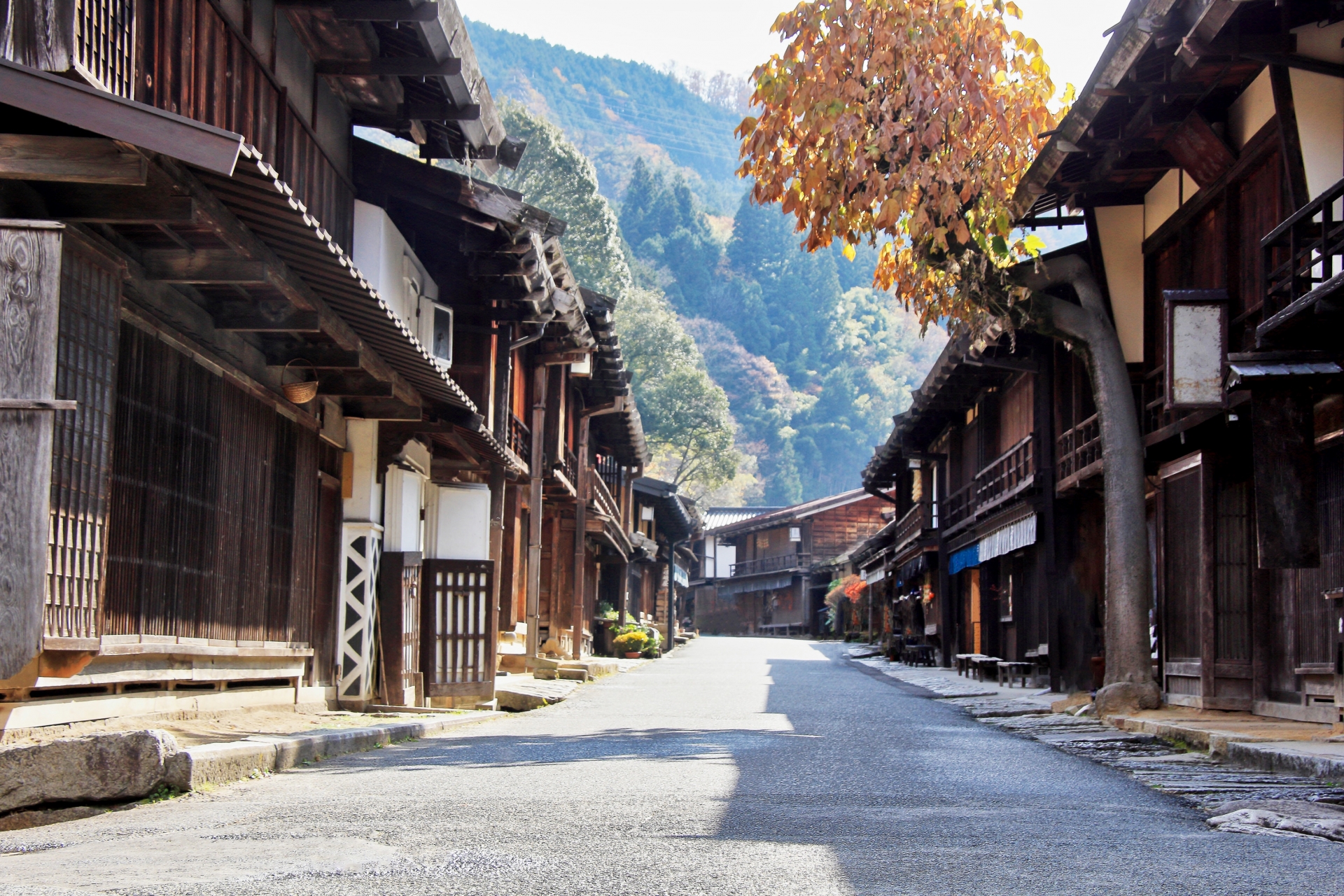 この景色 失いたくない 緑に囲まれた日本の 美しい村 5選